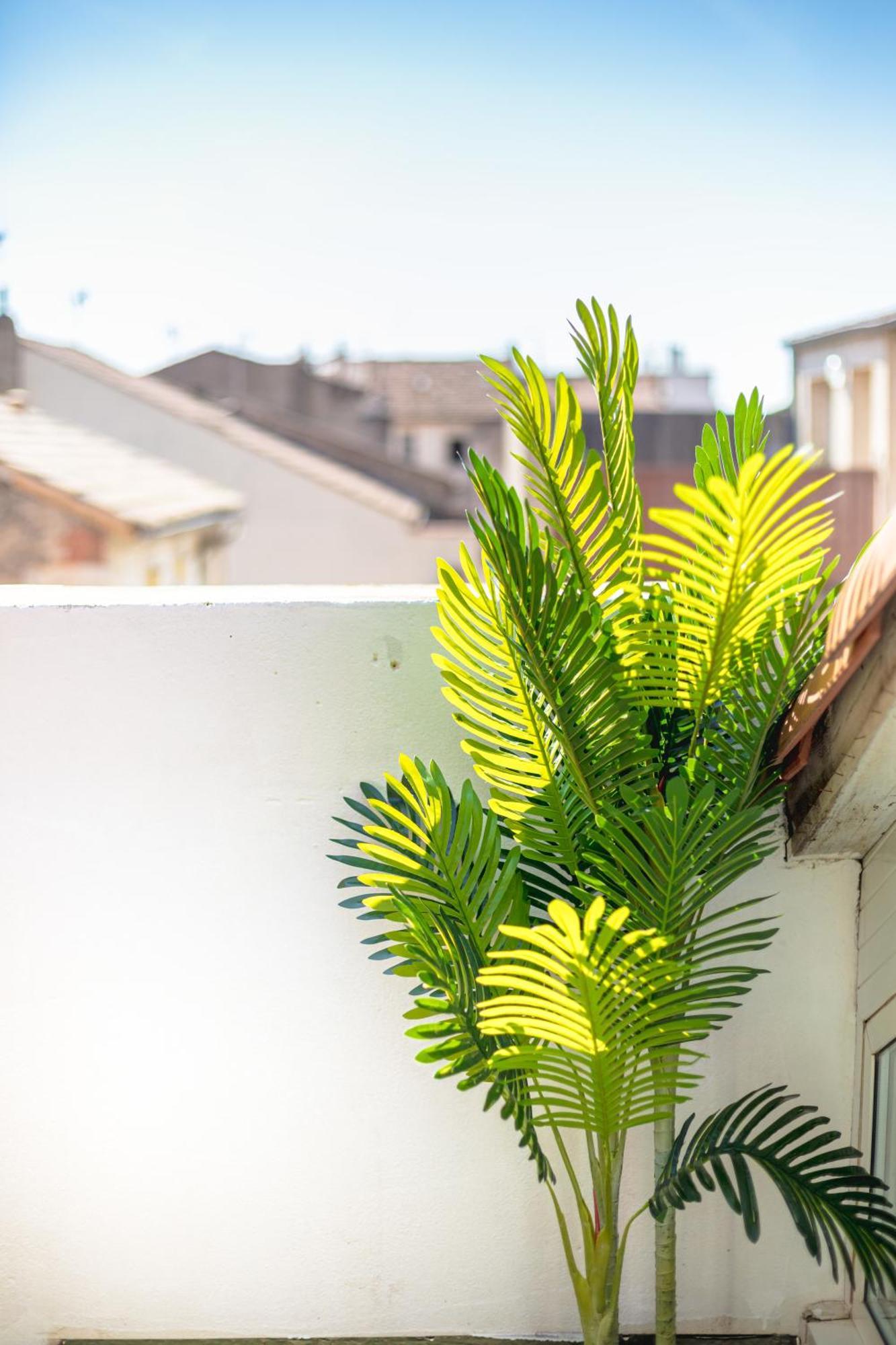 Le Albert 1Er Beziers Appartements Tout Equipes Ngoại thất bức ảnh