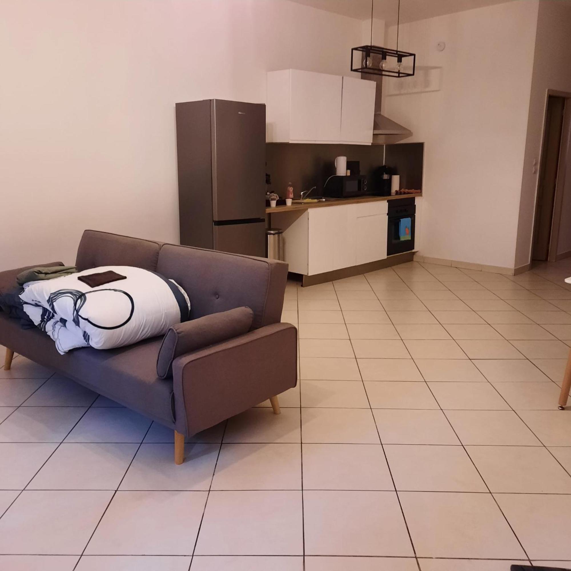 Le Albert 1Er Beziers Appartements Tout Equipes Ngoại thất bức ảnh